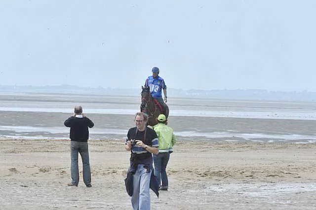 WEG-EnduranceRace-8-28-14-0003816-DDeRosaPhoto