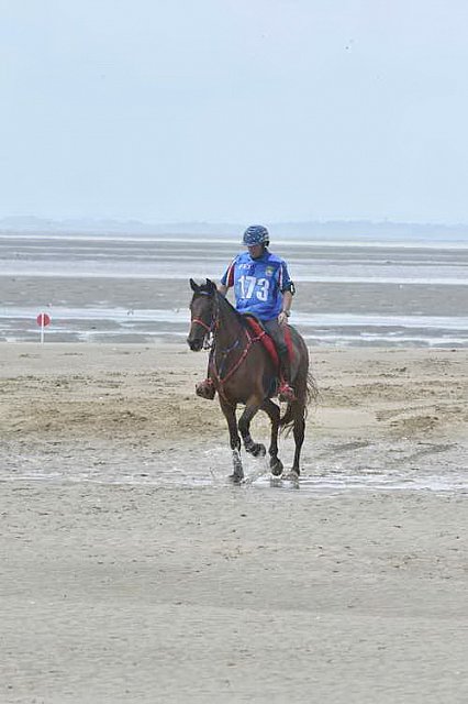 WEG-EnduranceRace-8-28-14-0003836-DDeRosaPhoto