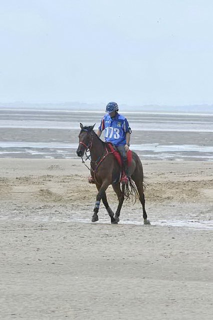 WEG-EnduranceRace-8-28-14-0003839-DDeRosaPhoto