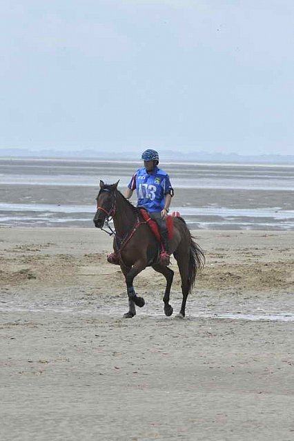 WEG-EnduranceRace-8-28-14-0003841-DDeRosaPhoto