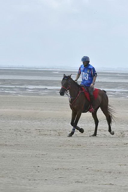 WEG-EnduranceRace-8-28-14-0003847-DDeRosaPhoto