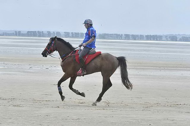 WEG-EnduranceRace-8-28-14-0003873-DDeRosaPhoto