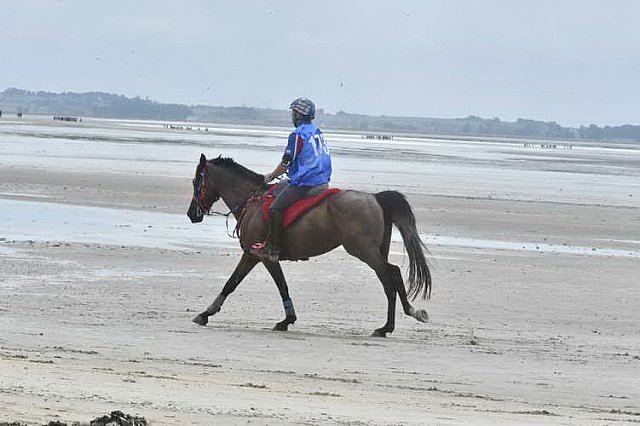 WEG-EnduranceRace-8-28-14-0003892-DDeRosaPhoto