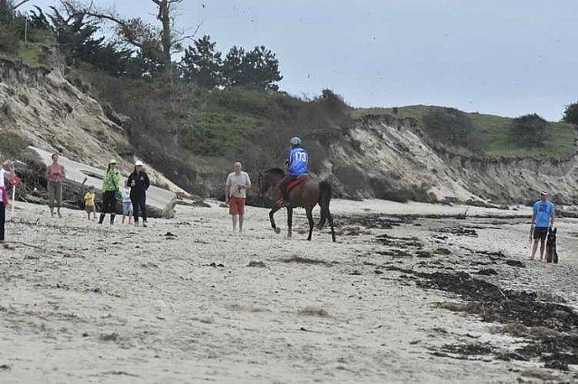 WEG-EnduranceRace-8-28-14-0003910-DDeRosaPhoto