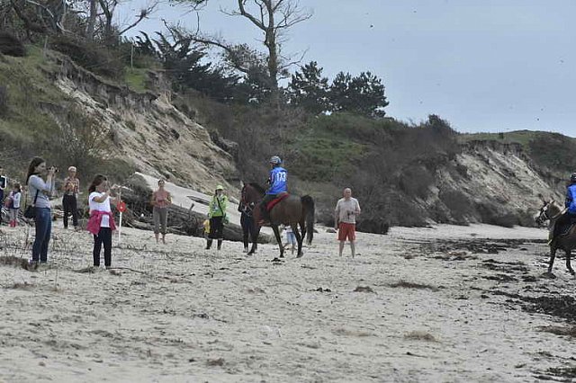 WEG-EnduranceRace-8-28-14-0003915-DDeRosaPhoto