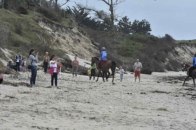 WEG-EnduranceRace-8-28-14-0003916-DDeRosaPhoto