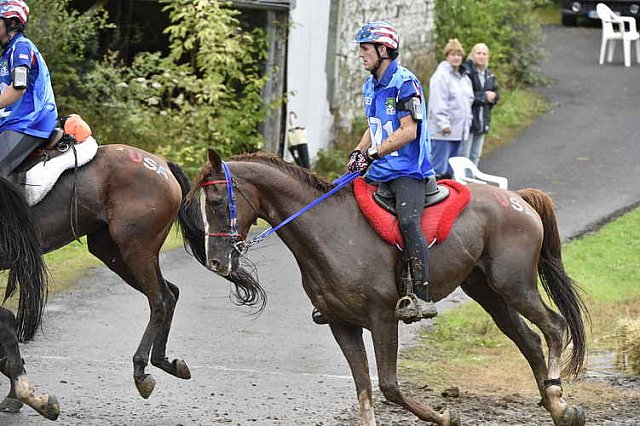 WEG-EnduranceRace-8-28-14-0001043-DDeRosaPhoto