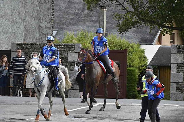 WEG-EnduranceRace-8-28-14-0001731-DDeRosaPhoto