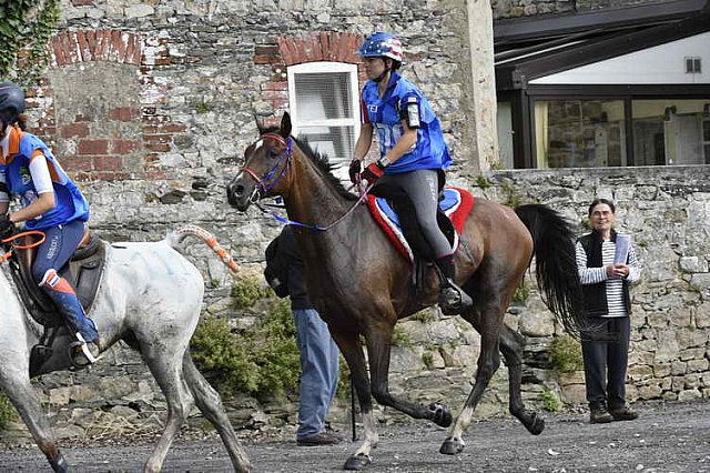 WEG-EnduranceRace-8-28-14-0001754-DDeRosaPhoto