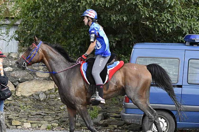 WEG-EnduranceRace-8-28-14-0001757-DDeRosaPhoto