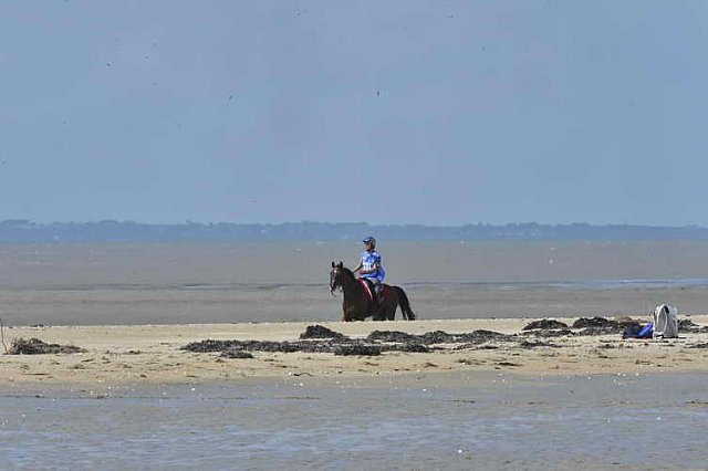 WEG-EnduranceRace-8-28-14-0003351-DDeRosaPhoto