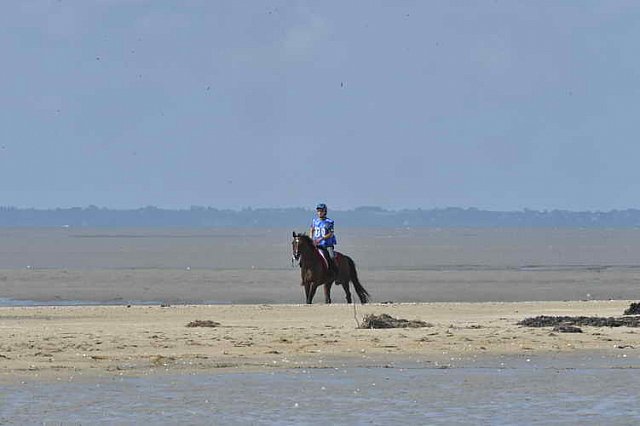 WEG-EnduranceRace-8-28-14-0003361-DDeRosaPhoto