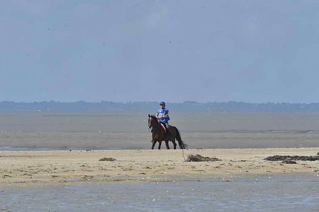 WEG-EnduranceRace-8-28-14-0003362-DDeRosaPhoto