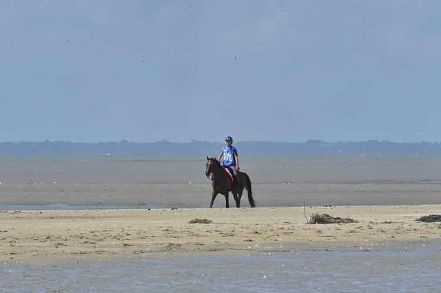 WEG-EnduranceRace-8-28-14-0003364-DDeRosaPhoto