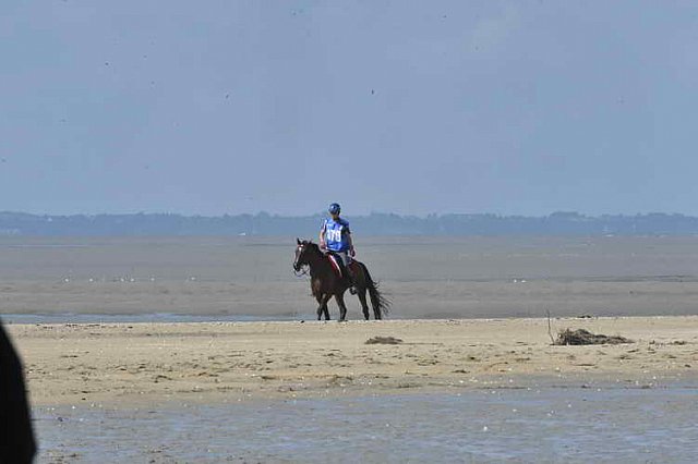 WEG-EnduranceRace-8-28-14-0003366-DDeRosaPhoto