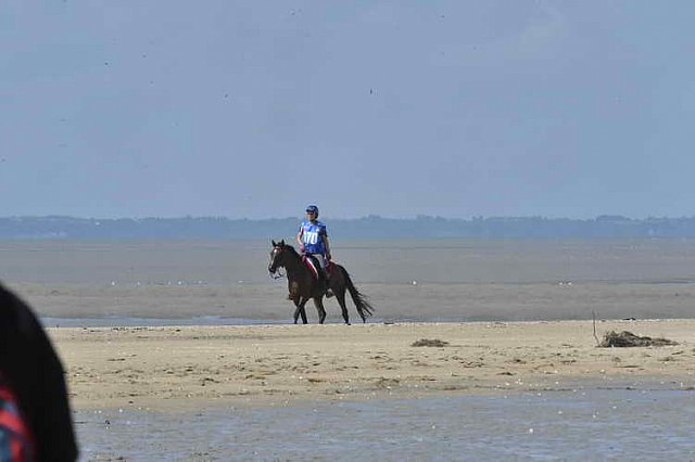 WEG-EnduranceRace-8-28-14-0003368-DDeRosaPhoto