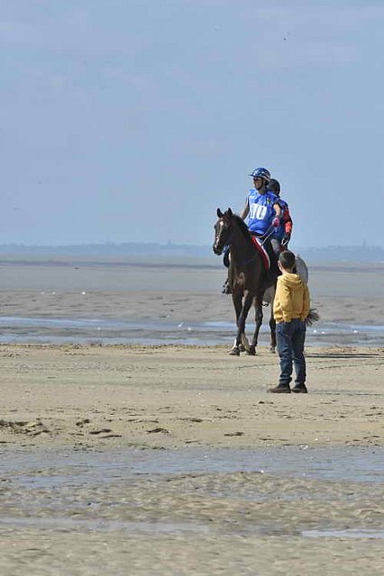 WEG-EnduranceRace-8-28-14-0003391-DDeRosaPhoto