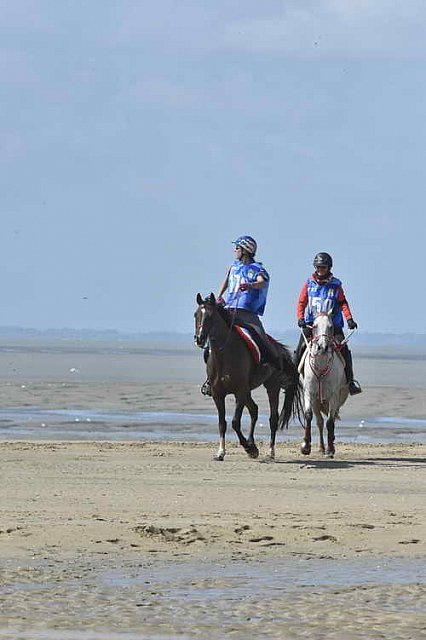 WEG-EnduranceRace-8-28-14-0003393-DDeRosaPhoto