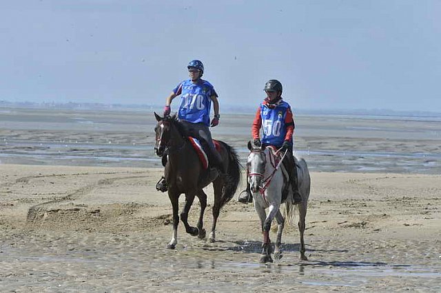 WEG-EnduranceRace-8-28-14-0003411-DDeRosaPhoto