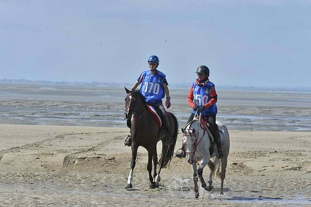 WEG-EnduranceRace-8-28-14-0003413-DDeRosaPhoto