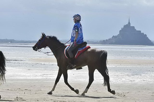 WEG-EnduranceRace-8-28-14-0003443-DDeRosaPhoto