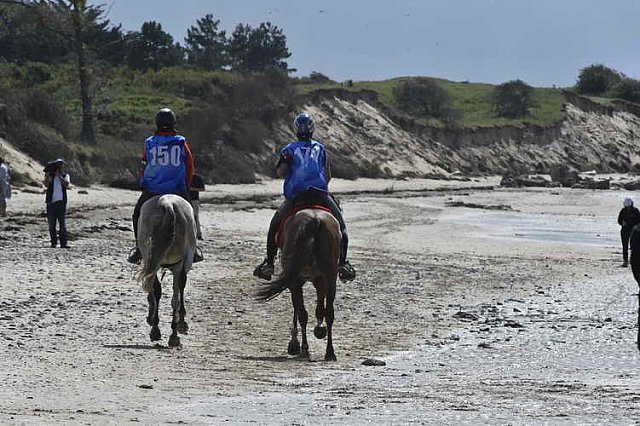 WEG-EnduranceRace-8-28-14-0003456-DDeRosaPhoto