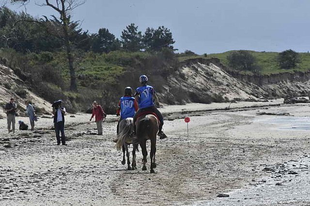 WEG-EnduranceRace-8-28-14-0003469-DDeRosaPhoto