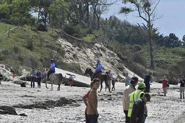 WEG-EnduranceRace-8-28-14-0003481-DDeRosaPhoto