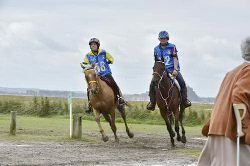 WEG-EnduranceRace-8-28-14-0001944-DDeRosaPhoto