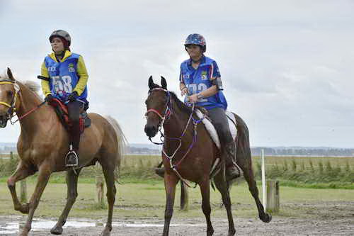 WEG-EnduranceRace-8-28-14-0001951-DDeRosaPhoto