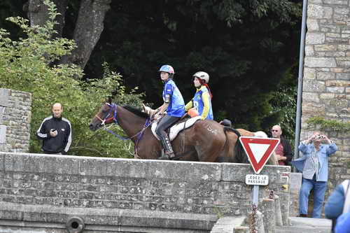 WEG-EnduranceRace-8-28-14-0001961-DDeRosaPhoto