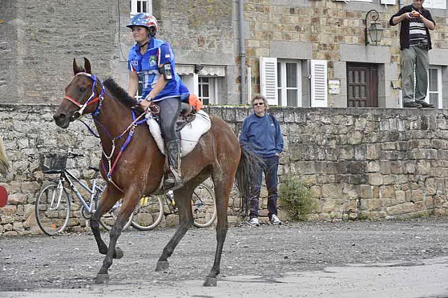 WEG-EnduranceRace-8-28-14-0001991-DDeRosaPhoto