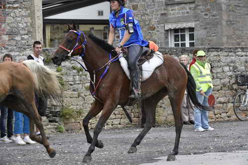 WEG-EnduranceRace-8-28-14-0001993-DDeRosaPhoto