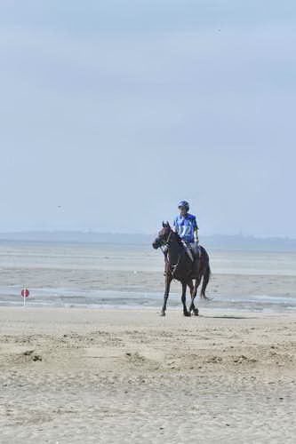 WEG-EnduranceRace-8-28-14-0003621-DDeRosaPhoto