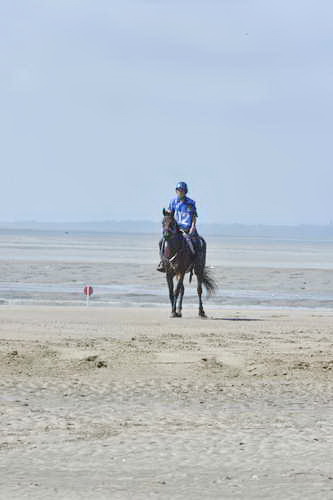 WEG-EnduranceRace-8-28-14-0003622-DDeRosaPhoto