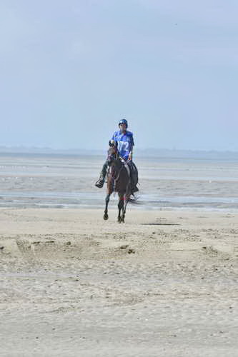 WEG-EnduranceRace-8-28-14-0003627-DDeRosaPhoto