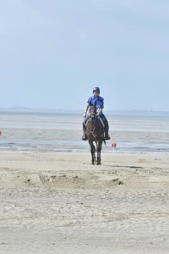 WEG-EnduranceRace-8-28-14-0003630-DDeRosaPhoto