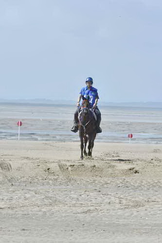 WEG-EnduranceRace-8-28-14-0003637-DDeRosaPhoto