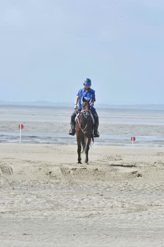 WEG-EnduranceRace-8-28-14-0003639-DDeRosaPhoto