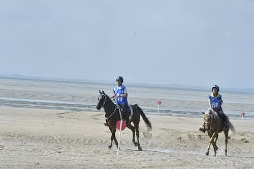 WEG-EnduranceRace-8-28-14-0003657-DDeRosaPhoto