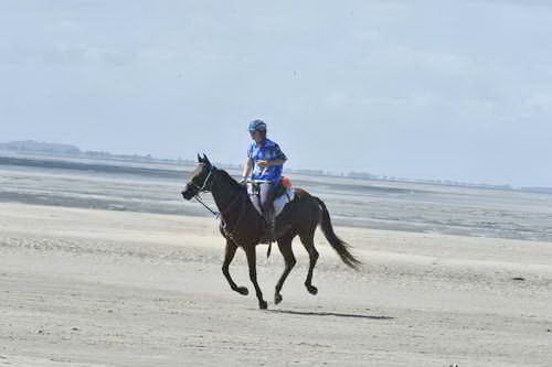 WEG-EnduranceRace-8-28-14-0003659-DDeRosaPhoto