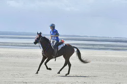 WEG-EnduranceRace-8-28-14-0003666-DDeRosaPhoto