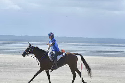 WEG-EnduranceRace-8-28-14-0003671-DDeRosaPhoto