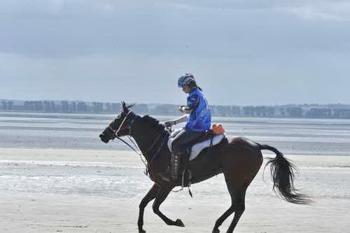 WEG-EnduranceRace-8-28-14-0003677-DDeRosaPhoto