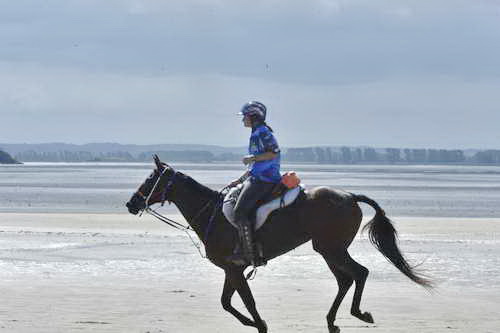 WEG-EnduranceRace-8-28-14-0003678-DDeRosaPhoto