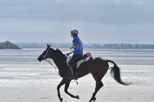 WEG-EnduranceRace-8-28-14-0003679-DDeRosaPhoto