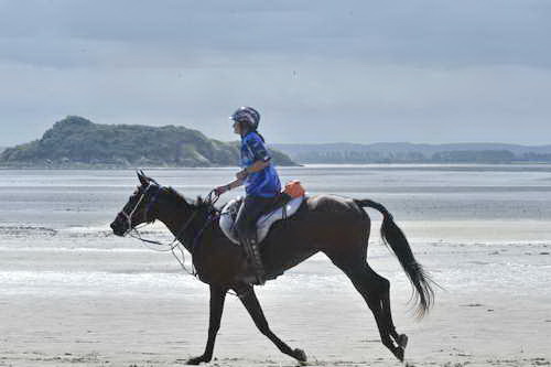 WEG-EnduranceRace-8-28-14-0003680-DDeRosaPhoto