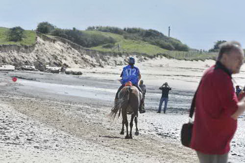 WEG-EnduranceRace-8-28-14-0003708-DDeRosaPhoto