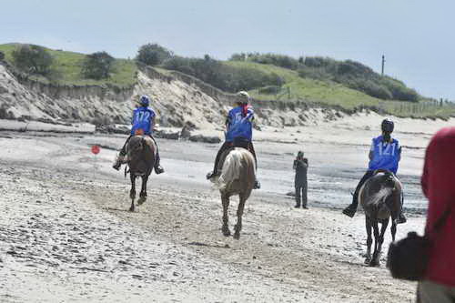 WEG-EnduranceRace-8-28-14-0003712-DDeRosaPhoto