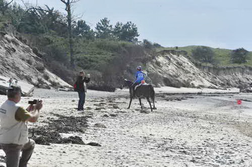 WEG-EnduranceRace-8-28-14-0003718-DDeRosaPhoto